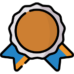 bronze rosette icon